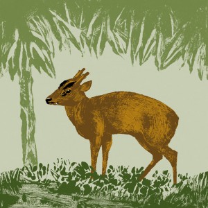 https://illustrations.oliviercharpentier.com:443/files/gimgs/th-30_TBDEF CERF MUNTJAC DINDE_v2.jpg